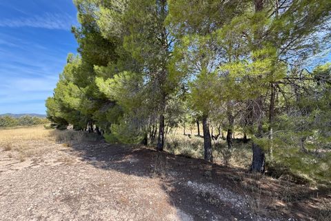 Helårsgrund i Barranda, Murcia, Barranda - € 149.000 | Ref: ATT-315 - foto 13